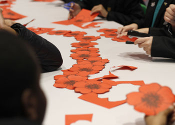 Poppy Display for Armistice Day