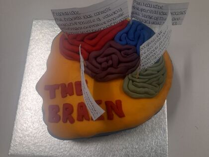Science Bake-Off(s)