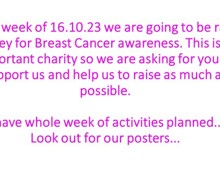 Wear it pink3