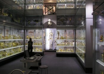 Hunterian Museum