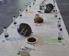 2b7fa50e e0f2 4bba a505 725b82e7a63f